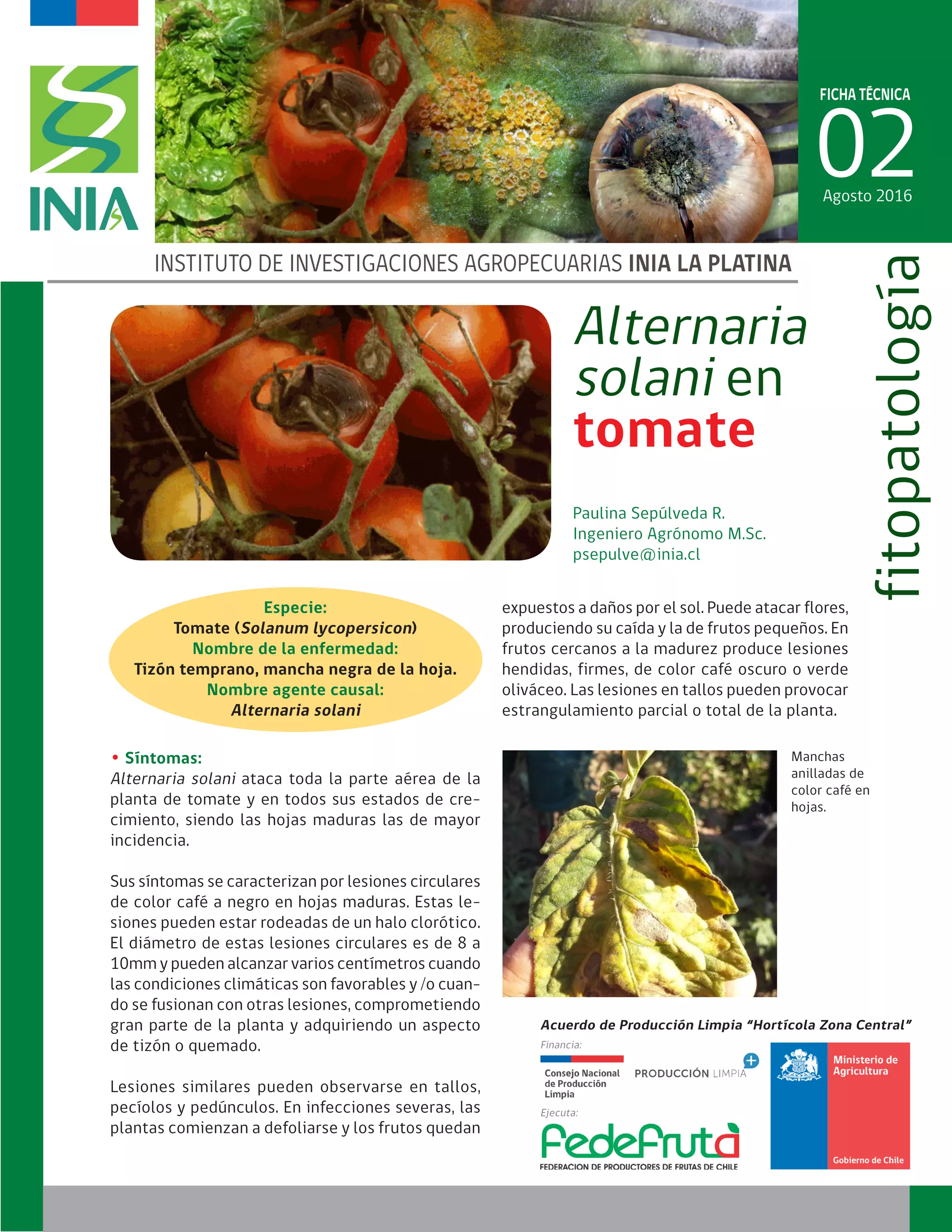 Alternaria solani | PDF