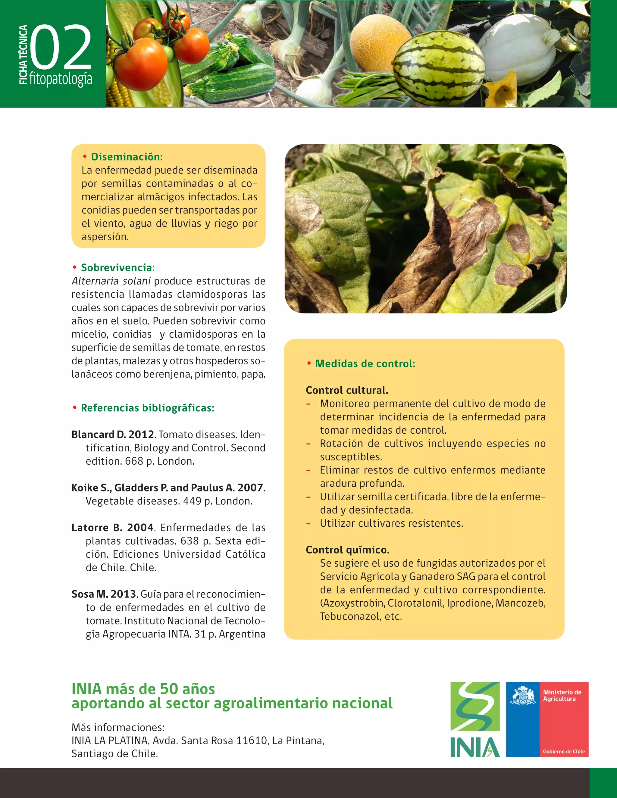Alternaria solani | PDF