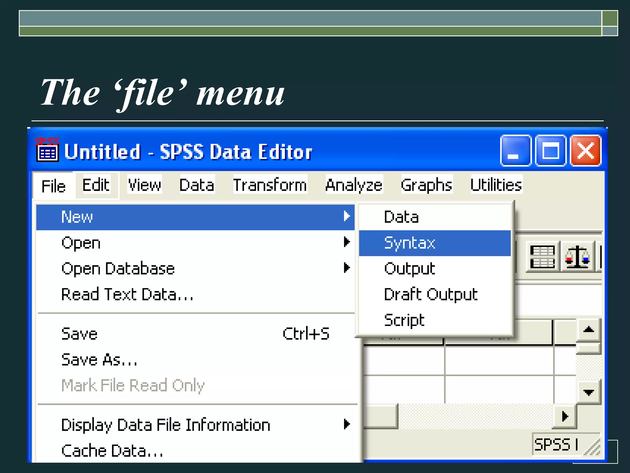 The ‘file’ menu 