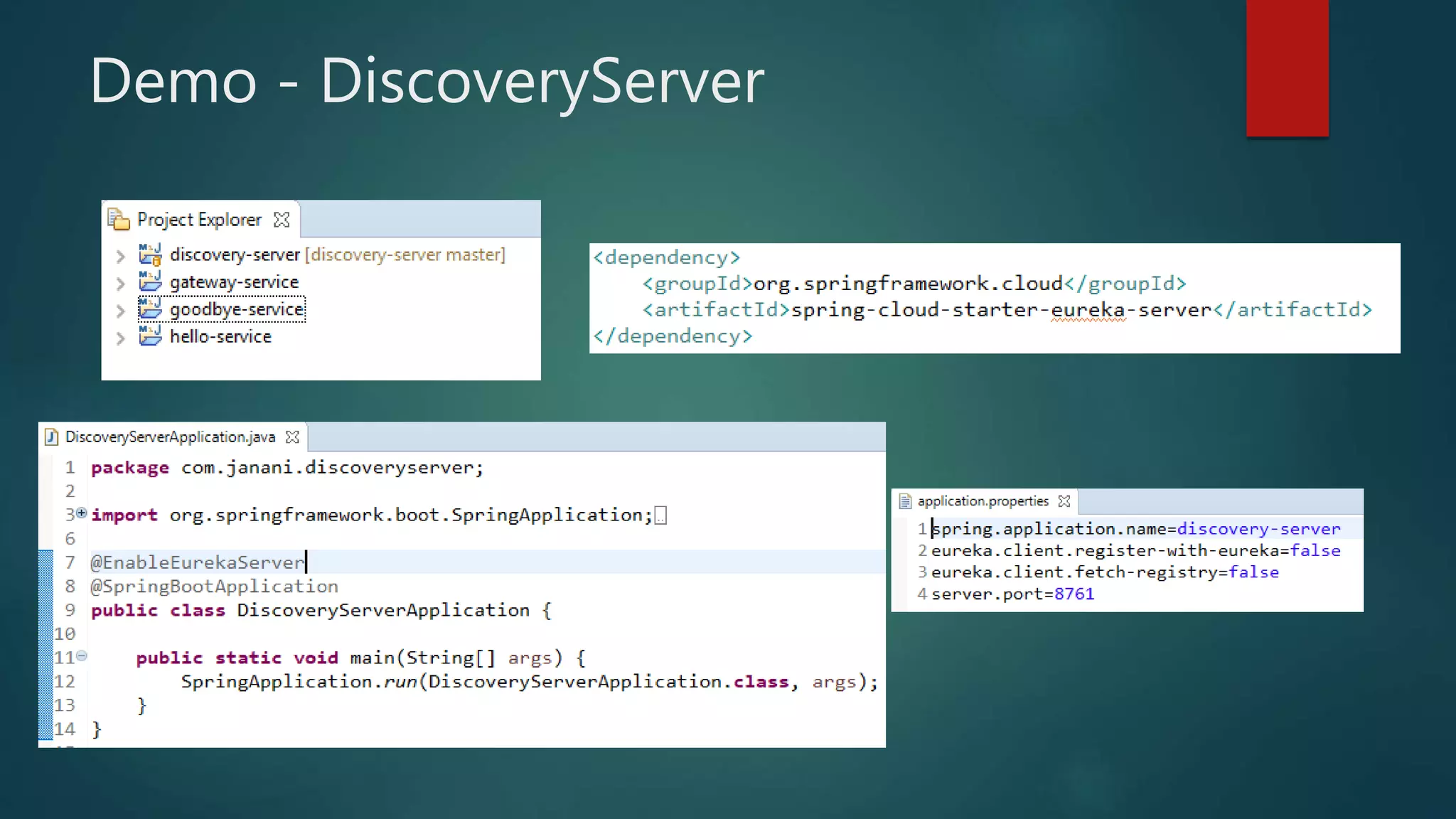 Demo - DiscoveryServer
 