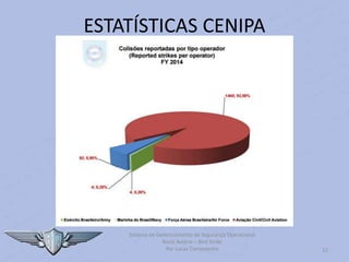 Sistema de Gerenciamento de Segurança Operacional
Risco Aviário – Bird Strike
Por Lucas Carramenha 12
ESTATÍSTICAS CENIPA
 