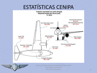 Sistema de Gerenciamento de Segurança Operacional
Risco Aviário – Bird Strike
Por Lucas Carramenha 15
ESTATÍSTICAS CENIPA
 