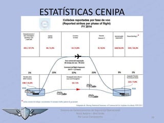 Sistema de Gerenciamento de Segurança Operacional
Risco Aviário – Bird Strike
Por Lucas Carramenha 16
ESTATÍSTICAS CENIPA
 