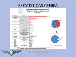 Sistema de Gerenciamento de Segurança Operacional
Risco Aviário – Bird Strike
Por Lucas Carramenha 17
ESTATÍSTICAS CENIPA
 