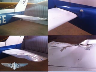 Sistema de Gerenciamento de Segurança Operacional
Risco Aviário – Bird Strike
Por Lucas Carramenha 22
 