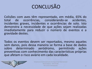 Sistema de Gerenciamento de Segurança Operacional
Risco Aviário – Bird Strike
Por Lucas Carramenha 25
CONCLUSÃO
Colisões com aves têm representado, em média, 65% do
total de ocorrências, considerando-se acidentes,
incidentes graves, incidentes e ocorrências de solo. Isto
demonstra a necessidade de que ações sejam realizadas
imediatamente para reduzir o número de eventos e a
gravidade destes.
Todos os eventos devem ser reportados, mesmo aqueles
sem danos, pois dessa maneira se forma a base de dados
sobre determinado aeródromo, permitindo ações
preventivas com conhecimento das características próprias
que afetam o risco aviário em cada localidade.
 