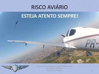 Sistema de Gerenciamento de Segurança Operacional
Risco Aviário – Bird Strike
Por Lucas Carramenha 26
RISCO AVIÁRIO
ESTEJA ATENTO SEMPRE!
 