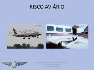 Sistema de Gerenciamento de Segurança Operacional
Risco Aviário – Bird Strike
Por Lucas Carramenha 4
RISCO AVIÁRIO
 