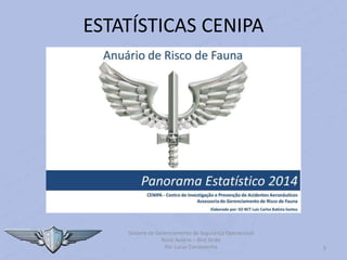 Sistema de Gerenciamento de Segurança Operacional
Risco Aviário – Bird Strike
Por Lucas Carramenha 9
ESTATÍSTICAS CENIPA
 