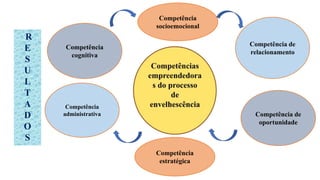 Competência
socioemocional
Competência
cognitiva
Competência de
relacionamento
R
E
S
U
L
T
A
D
O
S
Competência
administrativa
Competência
estratégica
Competência de
oportunidade
 