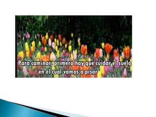 02 ARIAS JHONATAN POWER POINT