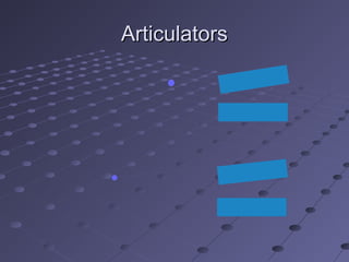 ArticulatorsArticulators
 