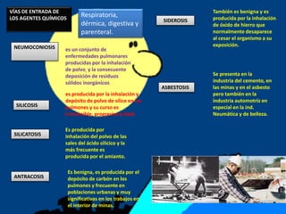 VÍAS DE ENTRADA DE
LOS AGENTES QUÍMICOS
Respiratoria,
dérmica, digestiva y
parenteral.
NEUMOCONIOSIS es un conjunto de
enfermedades pulmonares
producidas por la inhalación
de polvo y la consecuente
deposición de residuos
sólidos inorgánicos
SILICOSIS
es producida por la inhalación y
depósito de polvo de sílice en los
pulmones y su curso es
irreversible, progresivo y fatal.
SILICATOSIS
Es producida por
inhalación del polvo de las
sales del ácido silícico y la
más frecuente es
producida por el amianto.
ANTRACOSIS
Es benigna, es producida por el
depósito de carbón en los
pulmones y frecuente en
poblaciones urbanas y muy
significativas en los trabajos en
el interior de minas.
SIDEROSIS
También es benigna y es
producida por la inhalación
de óxido de hierro que
normalmente desaparece
al cesar el organismo a su
exposición.
ASBESTOSIS
Se presenta en la
industria del cemento, en
las minas y en el asbesto
pero también en la
industria automotriz en
especial en la ind.
Neumática y de belleza.
 