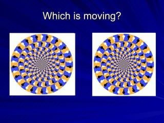 Which is moving?
 