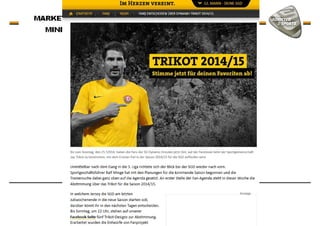 Merchandising - the club – fan connection - Fans co-create
 