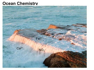 Ocean Chemistry
Fe2+
NO3
-Ca2+
 