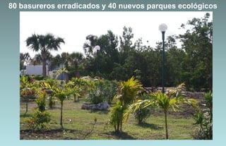 80 basureros erradicados y 40 nuevos parques ecológicos
                      ecológicos
 