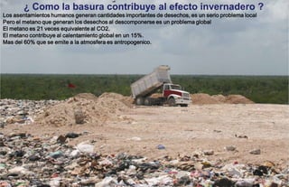 ¿ Como la basura contribuye al efecto invernadero ?
Los asentamientos humanos generan cantidades importantes de desechos, es un serio problema local
Pero el metano que generan los desechos al descomponerse es un problema global
El metano es 21 veces equivalente al CO2.
El metano contribuye al calentamiento global en un 15%.
Mas del 60% que se emite a la atmosfera es antropogenico.
 