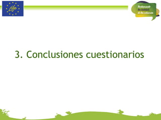 3. Conclusiones cuestionarios 