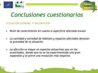 Conclusiones cuestionarios SITUACIÓN GENERAL Y VALORACIÓN Nivel de conocimiento en cuanto a superficie afectada escaso La cantidad y variedad de hábitats y espacios afectados denotan la gravedad de la situación La afección es mayor en espacios estuarinos que en los acantilados, donde aún no se ha experimentado una gran expansión y se prevé una evolución más negativa 
