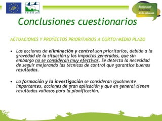 Conclusiones cuestionarios ACTUACIONES Y PROYECTOS PRIORITARIOS A CORTO/MEDIO PLAZO Las acciones de  eliminación y control  son prioritarios, debido a la gravedad de la situación y los impactos generados, que sin embargo  no se consideran muy efectivas . Se detecta la necesidad de seguir mejorando las técnicas de control que garantice buenos resultados. La  formación y la investigación  se consideran igualmente importantes, acciones de gran aplicación y que en general tienen resultados valiosos para la planificación. 