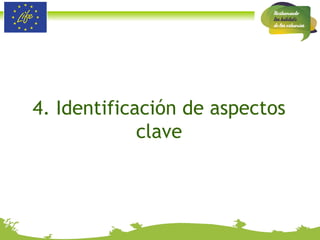 4. Identificación de aspectos clave 