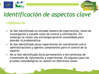 Identificación de aspectos clave COORDINACIÓN Se han identificado un elevado número de experiencias, tanto de investigación y estudio como de control y eliminación. Sin embargo no existe una estrategia general consolidada para abordar la problemática. Se han identificado pocas experiencias de coordinación entre administraciones y agentes competentes para el control de la especie. No se han identificado foros permanentes o herramientas de transmisión de información y experiencias. En algunos casos las pruebas metodológicas se repiten en diferentes zonas. 
