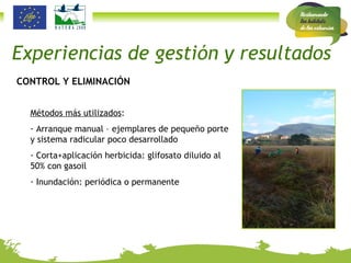 CONTROL Y ELIMINACIÓN Métodos más utilizados : Arranque manual – ejemplares de pequeño porte y sistema radicular poco desarrollado Corta+aplicación herbicida: glifosato diluido al 50% con gasoil Inundación: periódica o permanente Experiencias de gestión y resultados 