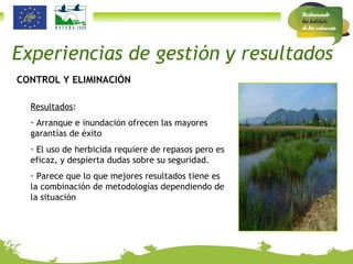 CONTROL Y ELIMINACIÓN Resultados : Arranque e inundación ofrecen las mayores garantías de éxito El uso de herbicida requiere de repasos pero es eficaz, y despierta dudas sobre su seguridad. Parece que lo que mejores resultados tiene es la combinación de metodologías dependiendo de la situación Experiencias de gestión y resultados 