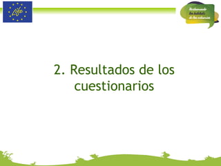 2. Resultados de los cuestionarios 