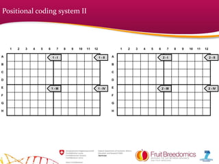 1 2 3 4 5 6 7 8 9 10 11 12
A
B
C
D
E
F
G
H
1 - I 1 - II
1 - III 1 - IV
1 2 3 4 5 6 7 8 9 10 11 12
A
B
C
D
E
F
G
H
2 - I 2 - II
2 - III 2 - IV
Positional coding system II
 