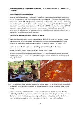 1
COMPTE RENDU DES REALISATIONS SUITE A L’APPUI DE LA FAPBM ATTRIBUE A LA NAP BEANKA,
ANNEE 2015
Biodiversity Conservation Madagascar
Le site de conservation Beanka a commencé à bénéficier du financement octroyé par la Fondation
pour les Aires Protégées et la Biodiversité de Madagascar (FAPBM) à partir de l’année 2015. Avec le
financement de la FAPBM (2015), diverses activités ont pu être menées. Cela a permis à Biodiversity
Conservation Madagascar de réaliser rapidement le processus pour la protection définitive de ce site
et d’acquérir le statut de mise en protection définitive de la NAP Beanka. Avec l’appui de la FAPBM,
nous avons pu, en même temps, démontrer à la communauté riveraine l’importance de la
conservation de la biodiversité sur la vie quotidienne. Les achèvements et activités réalisés avec le
financement de FAPBM sont résumés ci-dessous.
Acquisition de statut de protection définitive de la NAP,
Grace au financement de FAPBM, l’ONE a pu entamer la démarche concernant l’étude d’impact
environnemental et nous a octroyé le permis environnemental de la NAP Beanka. Le statut de
conservation définitive de la NAP Beanka a été régit par le décret 2015-727 du 21 avril 2015.
Connaissances sur le rôle des chauves-souris frugivores sur l’écosystème de Beanka
Cette activité a été réalisée en partenariat avec l’Université de Toliary
Les résultats préliminaires nous permettent de savoir qu’au moins cinq espèces de plantes sont
dispersées par P. rufus à savoir : Ficus grevei, Ficus tiliifolia, Grewia lavanalensis, Psidium guajava,
Manguifera indica
Figure : Hanitriniaina et deux agents de patrouille de BCM preparant les herbiers collectés dans la forêt
de Beanka (à droite) et fibre de mangues accompagnant les matières fécales de Pteropus rufus (à
gauche).
Ces chauves-souris, semblent chercher aussi leur nourriture sur les savanes arborées et sur les
habitats dégradés. Des composantes verdâtres et avec textures différentes provenant des matières
fécales restent non dentifiés supposant un régime alimentaire mélangé des feuilles, des fruits en
drupe (avec de grosses graines qui ne peuvent pas être avalées) et des pétales de fleur.
 