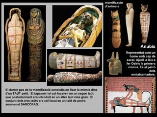 Anubis
Representat com un
home amb cap de
xacal. Ajudà a Isis a
fer Osiris la primera
mòmia. És el patró
dels
embalsamadors.
El darrer pas de la momificació consistia en fixar la mòmia dins
d'un TAÜT petit. El tapaven i el col·locaven en un segon taüt
que posteriorment era introduït en un altre taüt més gran. El
conjunt dels tres taüts era col·locat en un taüt de pedra
anomenat SARCÒFAG.
momificació
d’animals
 