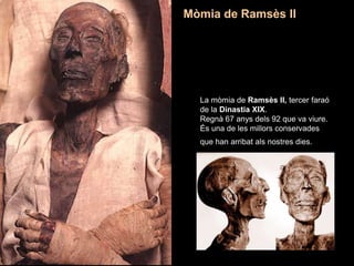 La mòmia de Ramsès II, tercer faraó
de la Dinastia XIX.
Regnà 67 anys dels 92 que va viure.
És una de les millors conservades
que han arribat als nostres dies.
Mòmia de Ramsès II
 