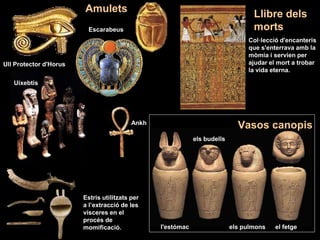Amulets
els budells
els pulmonsl'estómac el fetge
Vasos canopis
Ull Protector d'Horus
Uixebtis
Ankh
Escarabeus
Estris utilitzats per
a l’extracció de les
vísceres en el
procés de
momificació.
Col·lecció d'encanteris
que s'enterrava amb la
mòmia i servien per
ajudar el mort a trobar
la vida eterna.
Llibre dels
morts
 