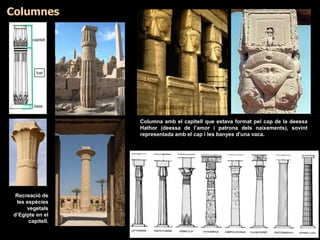 Columnes
base
fust
capitell
Columna amb el capitell que estava format pel cap de la deessa
Hathor (deessa de l’amor i patrona dels naixements), sovint
representada amb el cap i les banyes d'una vaca.
Recreació de
les espècies
vegetals
d’Egipte en el
capitell.
 