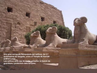 Una gran avinguda flanquejada per esfinxs, de 2,7
quilòmetres de llargada, uneix el Temple de Karnak
amb el Luxor.
Les esfinxs amb cap de moltó complien la funció de
guardians i protectors dels temples.
 