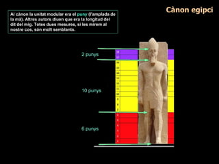 2 punys
10 punys
6 punys
Cànon egipciAl cànon la unitat modular era el puny (l'amplada de
la mà). Altres autors diuen que era la longitud del
dit del mig. Totes dues mesures, si les mirem al
nostre cos, són molt semblants.
 