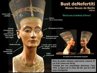 "Bonica és la bellesa d'Amon"
Bust de pedra calcària, policromat, mesura 47
cm d'alt i pesa uns 20 kg.
Trobada per uns arqueòlegs alemanys, l'any
1912, la figura de la reina del Nil, que té 3.400
anys d'antiguitat.
El rostre d’un naturalisme exquisit
Bust deNefertiti
Museu Neues de Berlín
1340 aC
Orella trencada
Ull esquerre en blanc
Policromia bruna
de la seva pell
L’esvelt coll li dóna
un atractiu sensual
meravellós.
Cànon molt
estilitzat
Pòmuls i
barbeta molt
marcats Collar
policromat
Uareus
en la corona blava.
Ull amb
incrustació de
vidre i la
pupil·la unida
amb cera de
color negre
 
