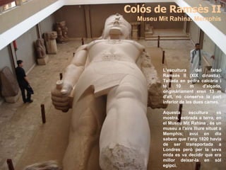 L’escultura del faraó
Ramsès II (XIX dinastia).
Tallada en pedra calcària i
té 10 m d'alçada,
originàriament eren 13 m
d'alt, no conserva la part
inferior de les dues cames.
Aquesta escultura es
mostra, estirada a terra, en
el Museu Mit Rahina , és un
museu a l'aire lliure situat a
Memphis; avui en dia
sabem que l'any 1820 havia
de ser transportada a
Londres però per la seva
mida es va decidir que era
millor deixar-la en sòl
egipci.
Colós de Ramsès II
Museu Mit Rahina. Memphis
 