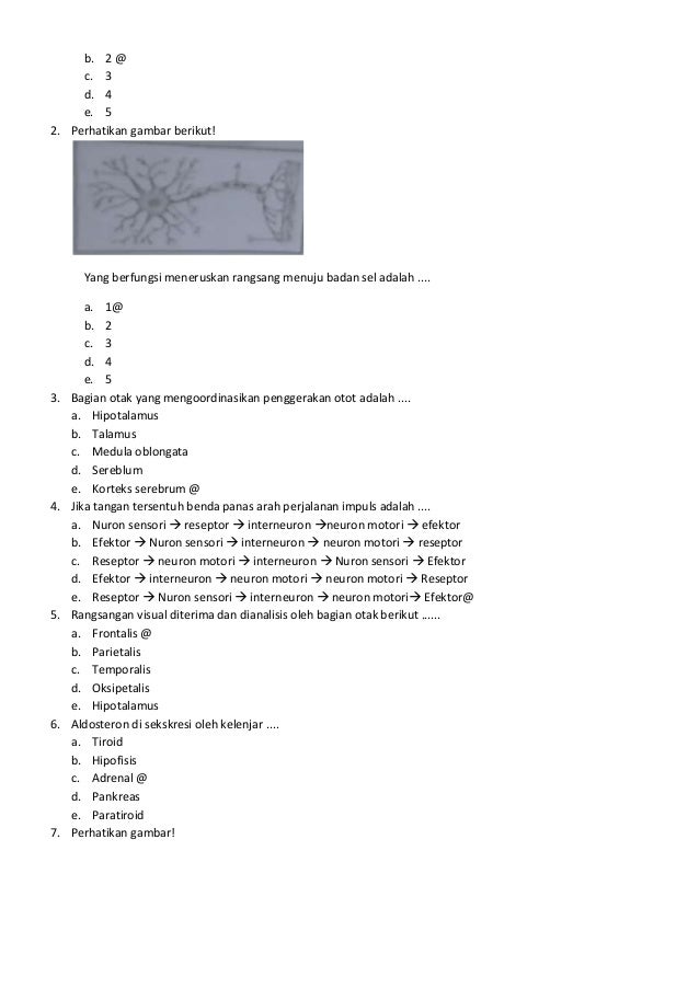 soa soal biologi kelas Xi SMA N 1 SIMO - BOYOLALI