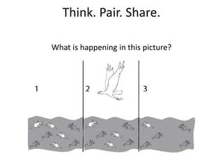 Think. Pair. Share.
What is happening in this picture?

 