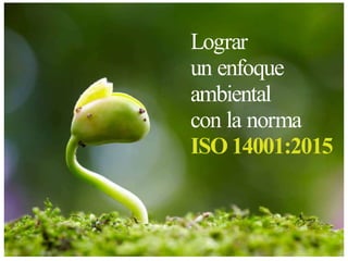Lograr
un enfoque
ambiental
con la norma
ISO 14001:2015
 