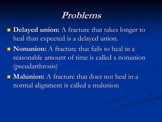 02 Bone Pathology Lec 1, ug cls, with gross and microscopy | PPT