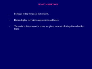 BONE MARKINGS Surfaces of the bones are not smooth. Bones display elevations,   depressions and holes. The surface features on the bones are given names to distinguish and define them. 