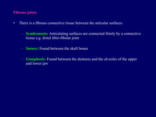 Fibrous joints There is a fibrous connective tissue b et w een  the articular surfaces. Syndesmosis:  Articulating surfaces are connected firmly by a connective tissue e.g. distal tibio-fibular joint Suture:  Found between the skull bones Gomphosis:  Found between the dentures and the alveoles of the upper and lower jaw 