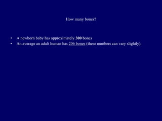 How many bones? A newborn baby has approximately  300  bones  An average an adult human has  206 bones  (these numbers can vary slightly).  