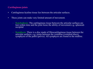 Cartilaginous joints Cartilaginous hyaline tissue lies between the articular surfaces. These joints can make very limited amount of movement. Synchodros i s:  The cartilaginous tissue between the articular surfaces are lost within time and the joint loose the ability of movement e.g. sphenoid-occipital Symphys is :  There is a di s c made of fibrocartilaginous tissue between the articular surfaces. e.g. joints between the vertebrae (vertebral discs), symphysis of the pubis (pelvis). All symphysis are found in the midline. 