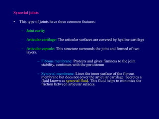Synovial joints This type of joints have three common features: Joint cavity Articular cartilage:  The articular surfaces are covered by hyaline cartilage Articular capsule:  This structure surrounds the joint and formed of two layers. Fibrous membrane:  Protects and gives firmness to the joint stability, continues with the periosteum Synovial membrane:  Lines the inner surface of the fibrous membrane but does not cover the articular cartilage. Secretes a fluid known as  synovial fluid . This fluid helps to minimize the friction between articular sufaces. 
