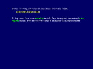 Bones are living structures having a blood and nerve supply Periosteum (outer lining) Living bones have some  elasticity  (results from the organic matter) and  great rigidity  (results from microscopic tubes of inorganic calcium phosphate) 